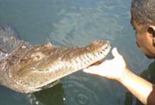 Black River Adventure